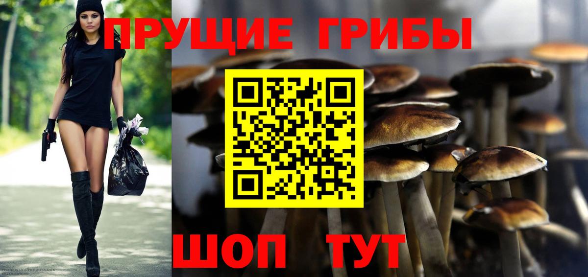 Галлюциногенные грибы GOLDEN TEACHER  Галлюциногенные грибы прущие грибы  Ачинск  Вход с VPN 